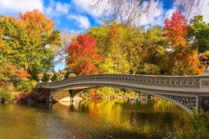 Central Park New York